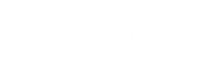 Bobcat_300_100_Logo